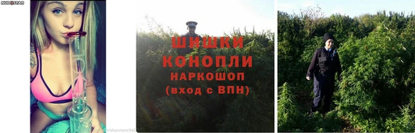 бутик Аркадак