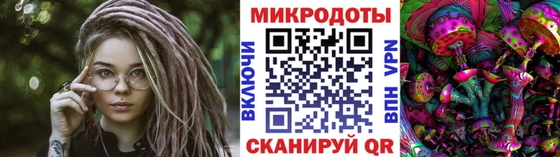 Псилоцибиновые грибы прущие грибы  Судак 